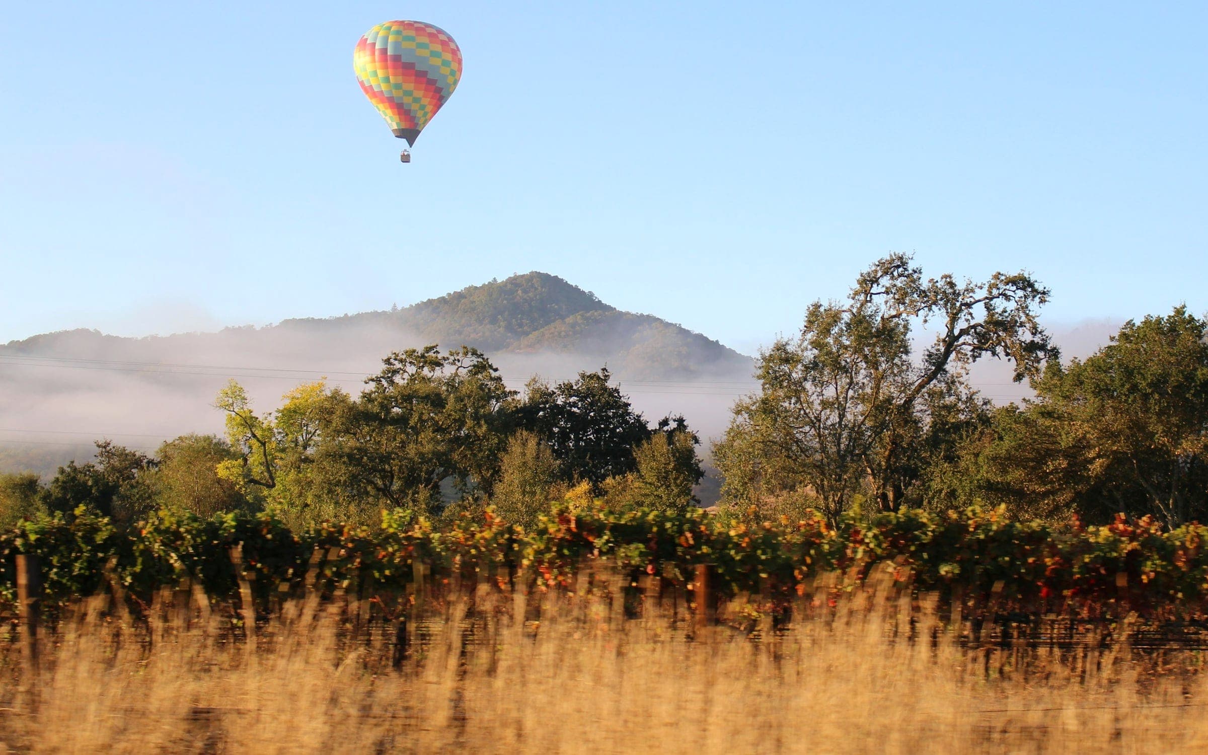 Napa Valley, California